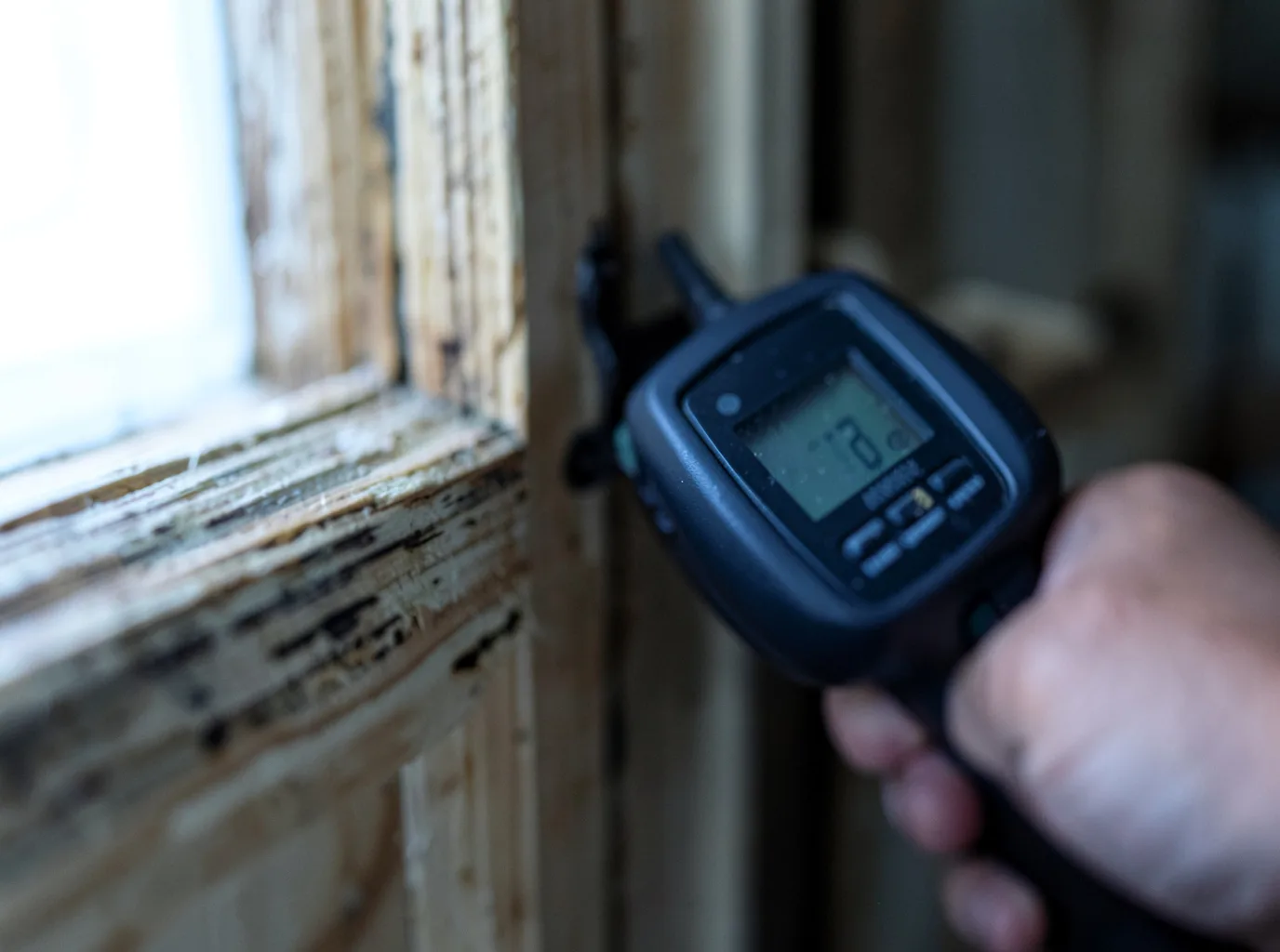 Moisture Inspection And Documentation in Racine, OH